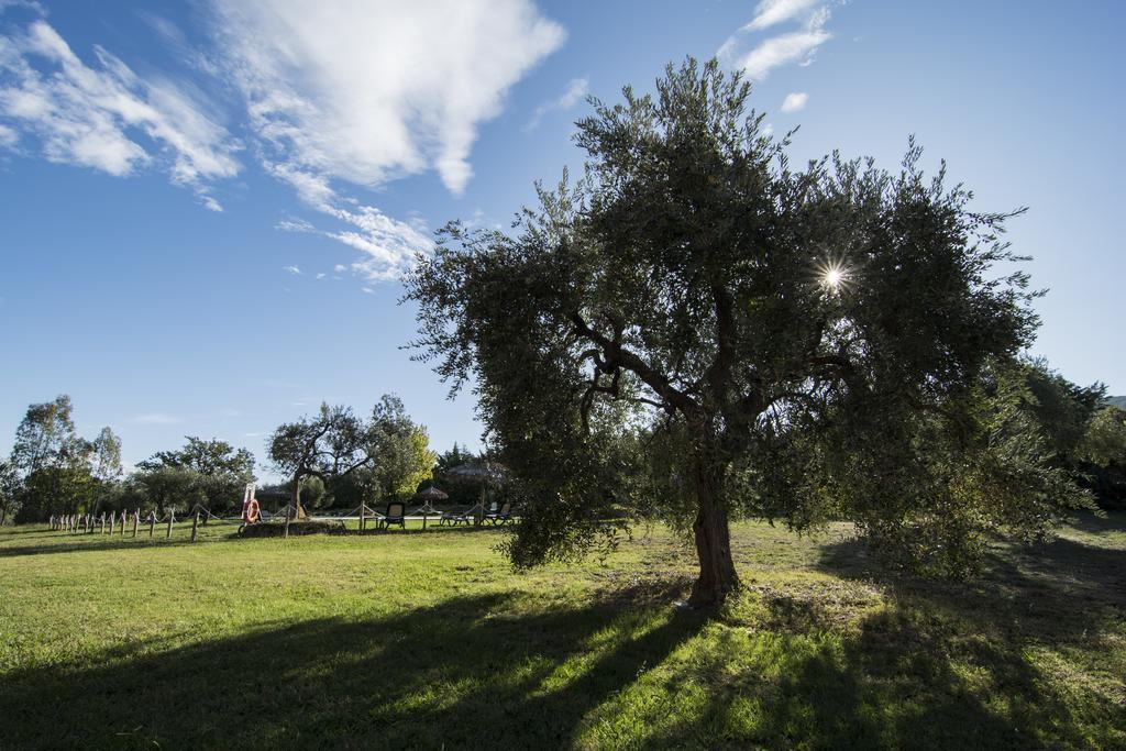 Tenuta Col Di Sasso Scarlino Dış mekan fotoğraf