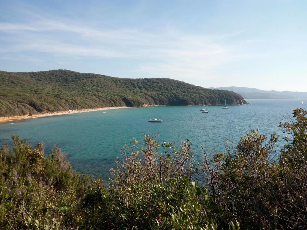 Tenuta Col Di Sasso Scarlino Dış mekan fotoğraf