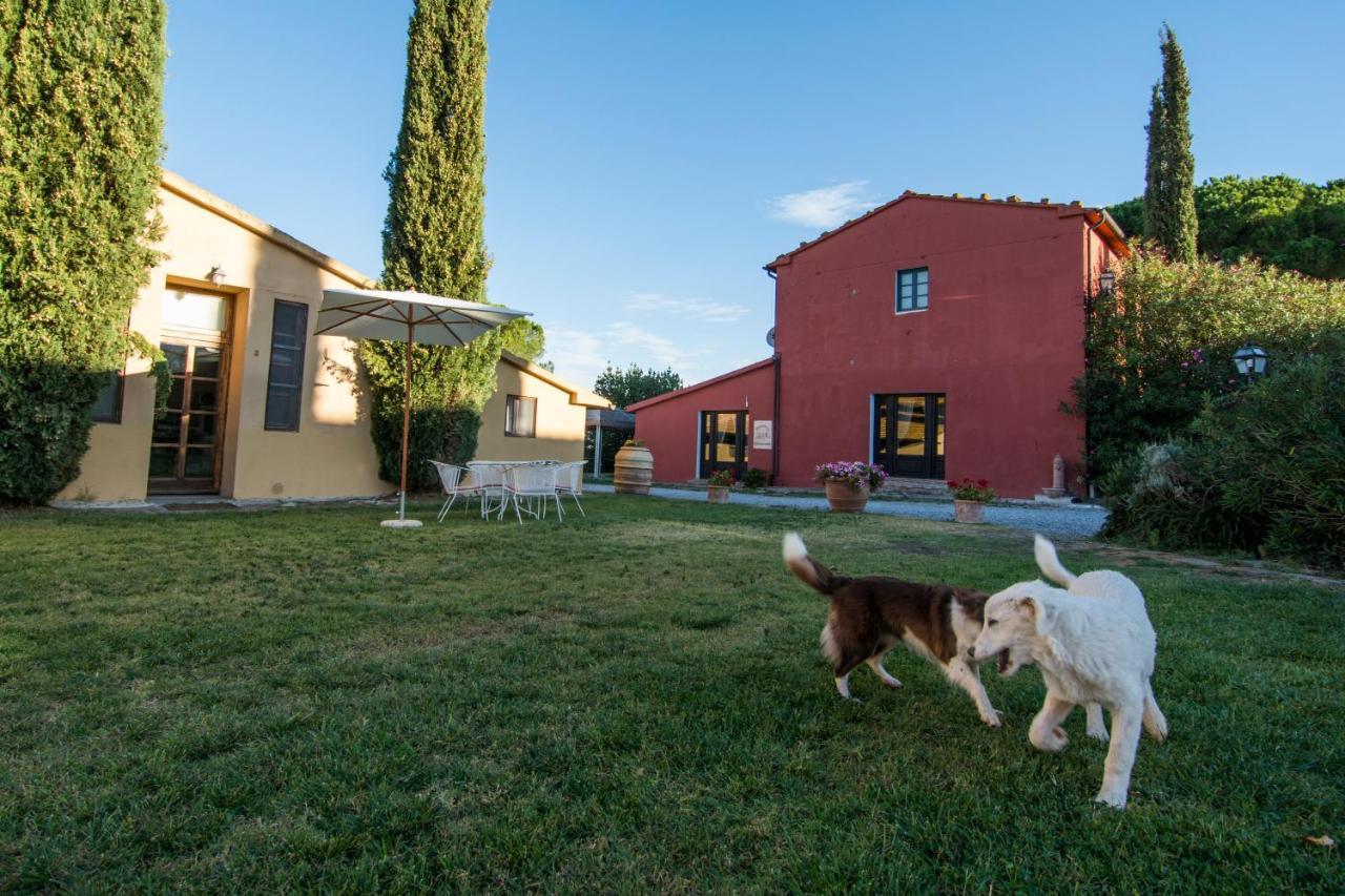 Tenuta Col Di Sasso Scarlino Dış mekan fotoğraf