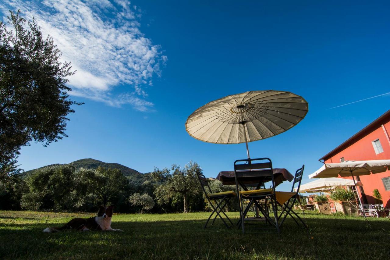 Tenuta Col Di Sasso Scarlino Dış mekan fotoğraf