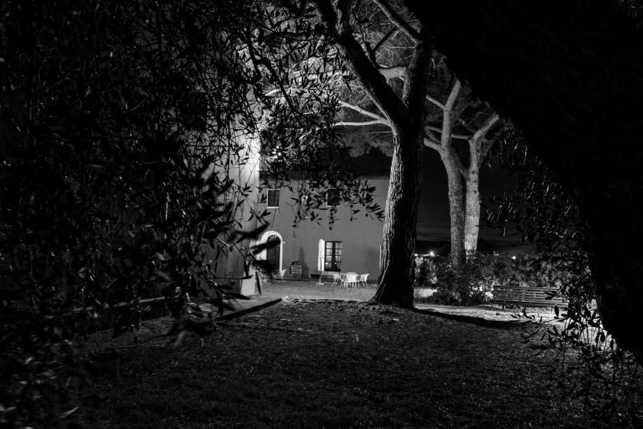 Tenuta Col Di Sasso Scarlino Dış mekan fotoğraf
