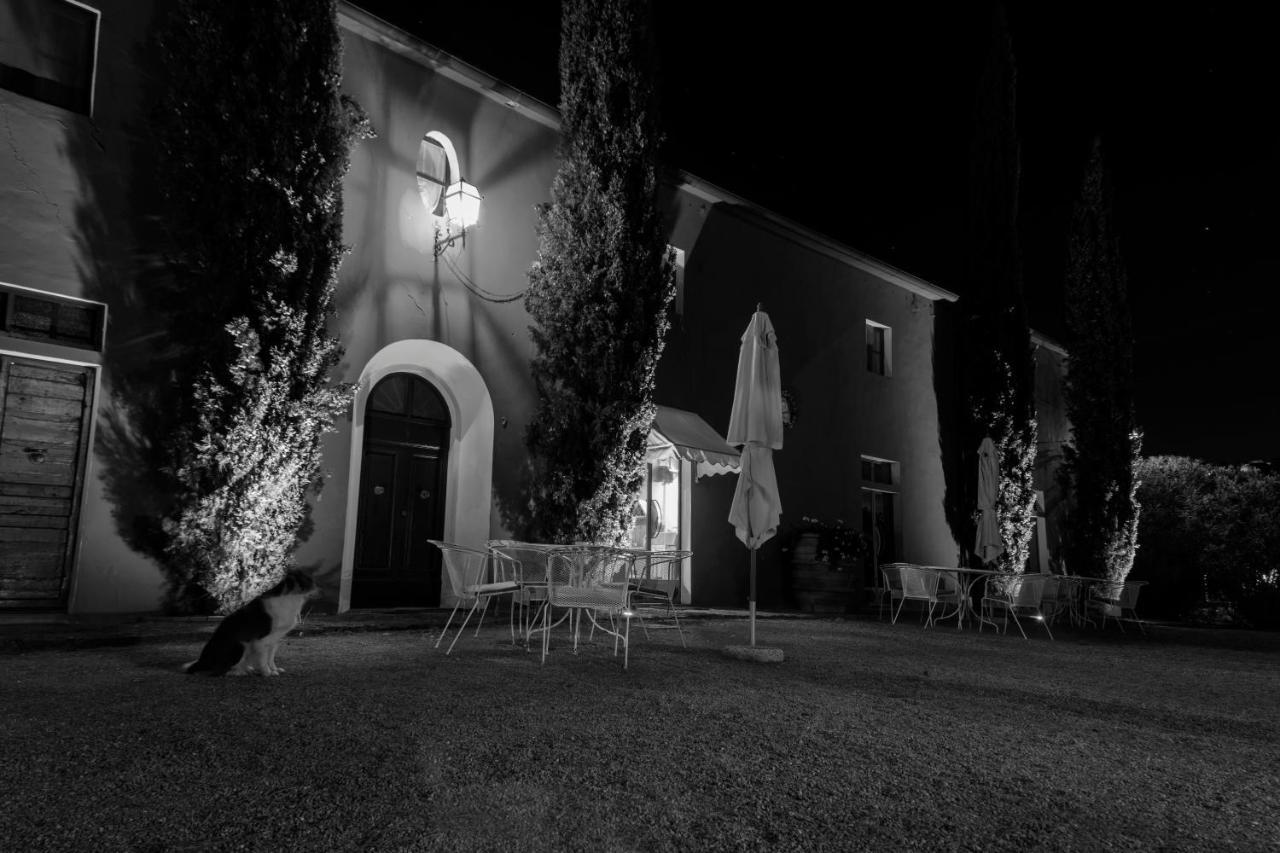 Tenuta Col Di Sasso Scarlino Dış mekan fotoğraf
