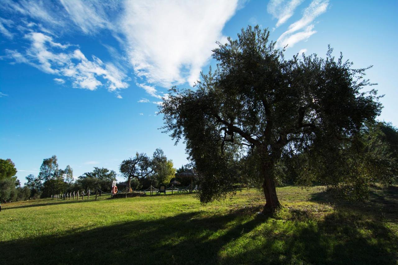 Tenuta Col Di Sasso Scarlino Dış mekan fotoğraf